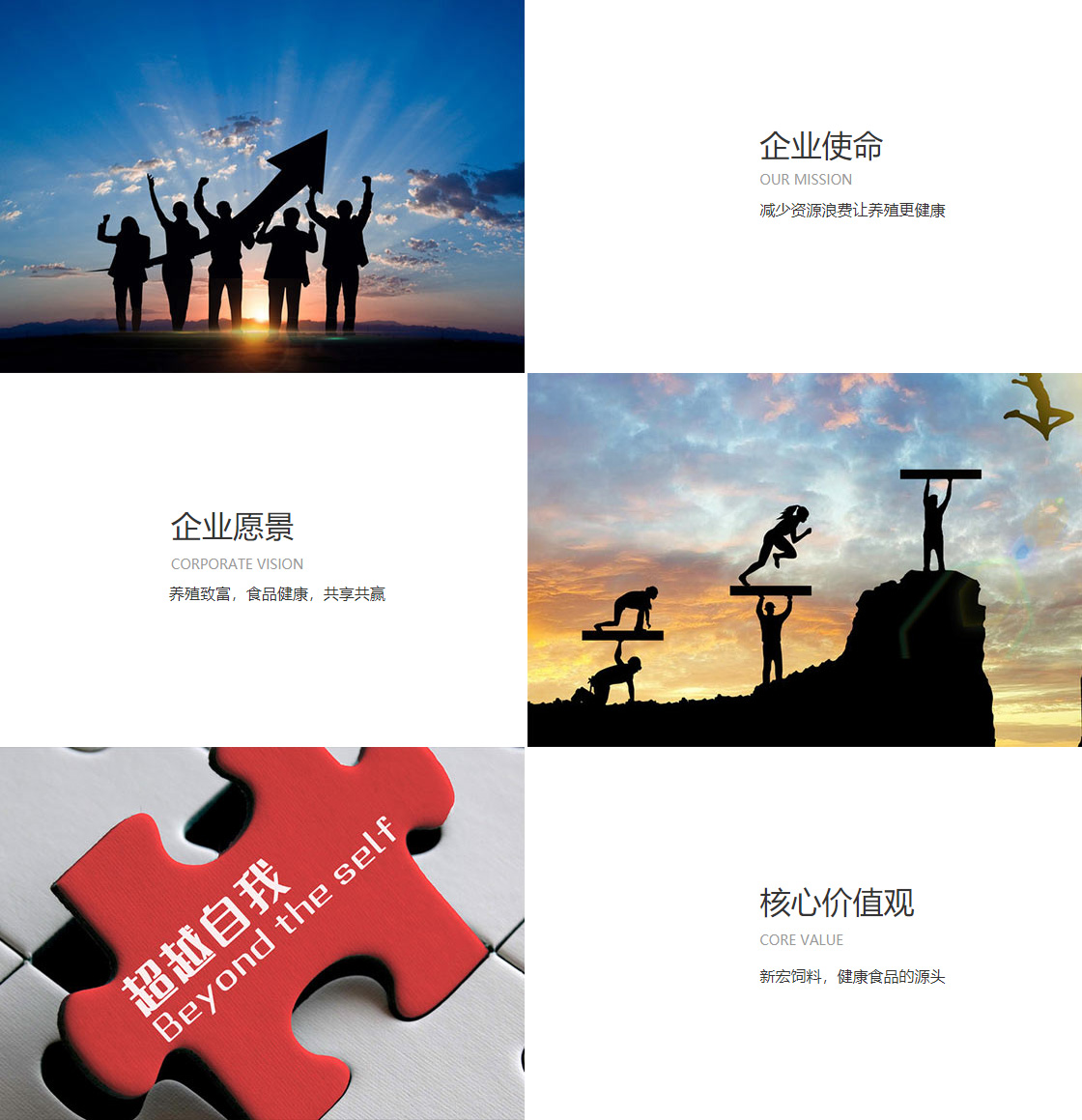 东升国际官网登录入口(图1)